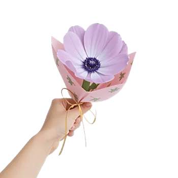 Blossom Petal Serenity