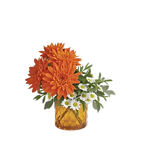 Petal Radiance Bliss