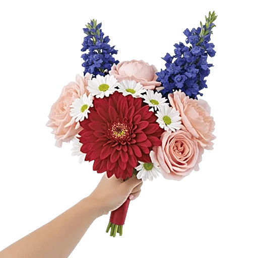 Coral Blossom Harmony