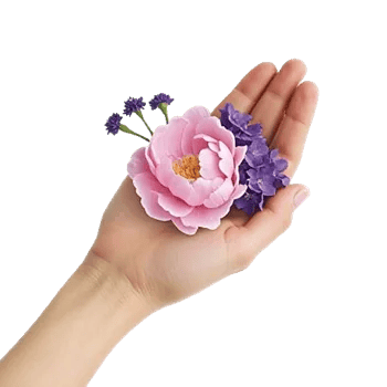 Peony Petal Harmony