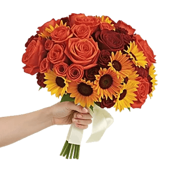 Blushing Rose Symphony