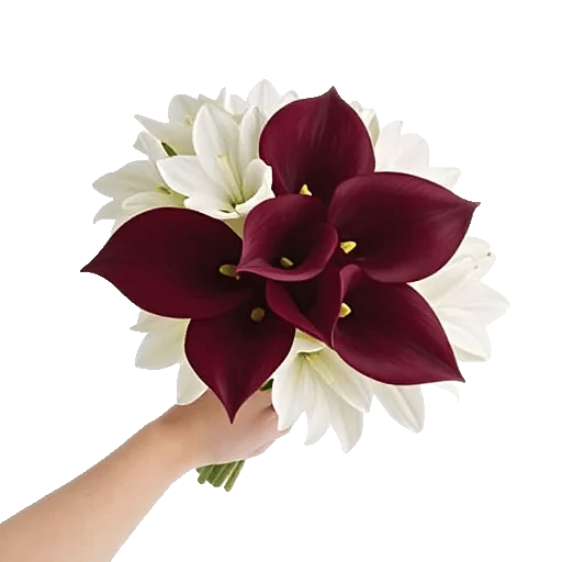 Elegant Calla Lilies
