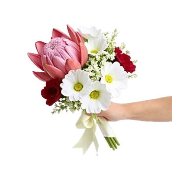 Ivory Blossom Radiance