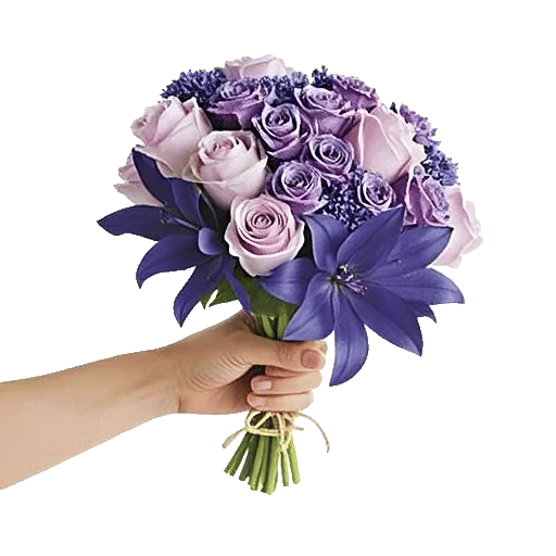 Blossom Petal Serenity