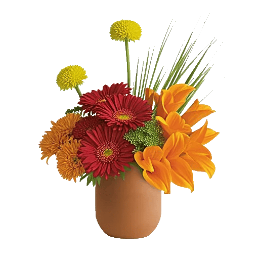 Petal Radiance Bliss