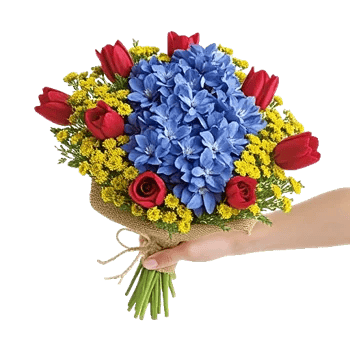 Blossom Petal Serenity