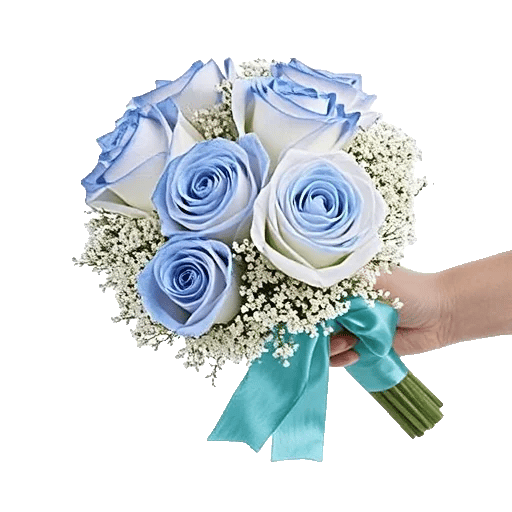 Elegant Blue Roses
