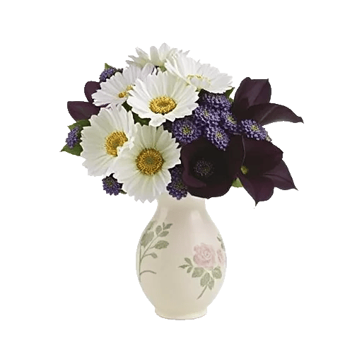 Ivory Blossom Radiance