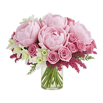 Petal Radiance Bliss