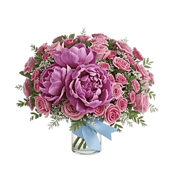 Petal Radiance Bliss