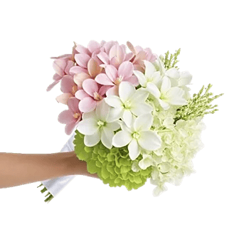 Modern White Orchids