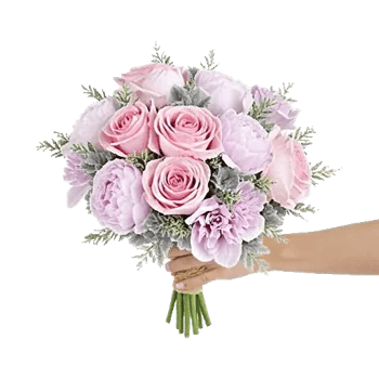 Pastel Pink Roses