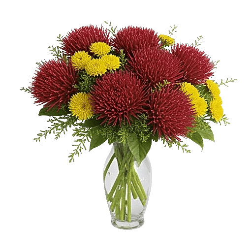 Crimson Blossom Harmony