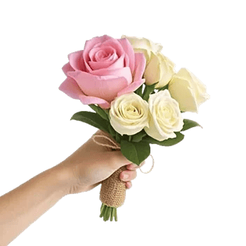 Blushing Rose Symphony