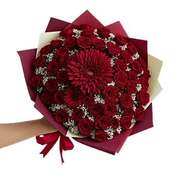 Crimson Rose Elegance