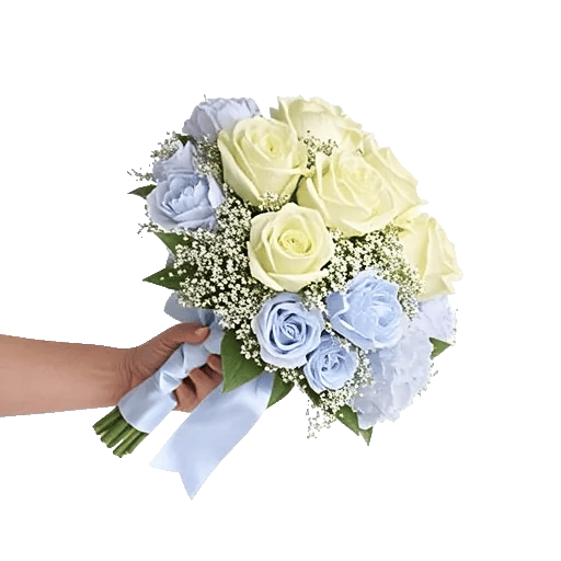 Serene Petal Harmony