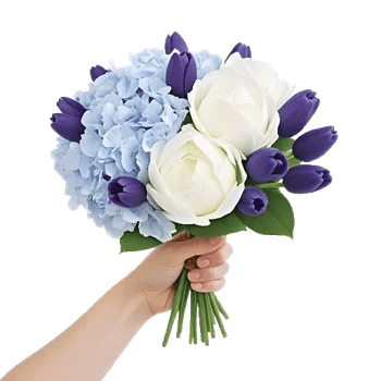 Serene Petal Harmony