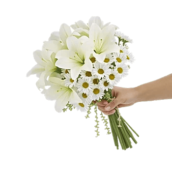 Blossom Harmony Display