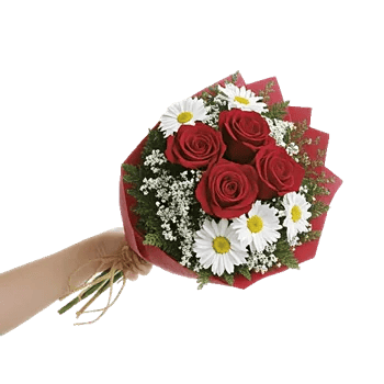 Crimson Rose Elegance