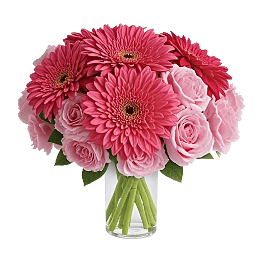 Petal Radiance Bliss