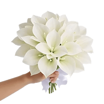 Elegant Calla Lilies