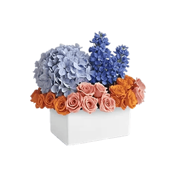 Sapphire Bloom Whisper