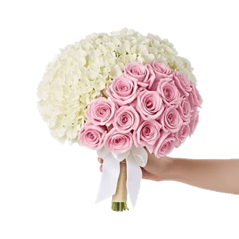 Blushing Rose Symphony