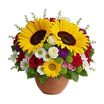 Amber Sunflower Glow