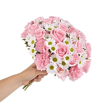 Petal Harmony Bliss