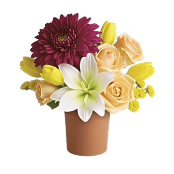 Petal Radiance Bliss