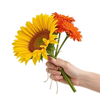 Amber Sunflower Glow