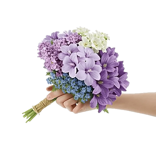 Blossom Petal Serenity