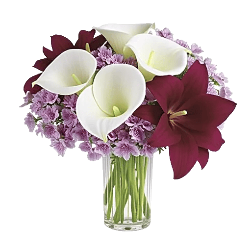 Elegant Calla Lilies