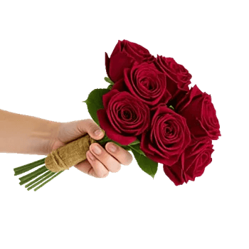 Crimson Rose Elegance