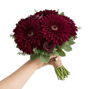 Deep Red Foliage