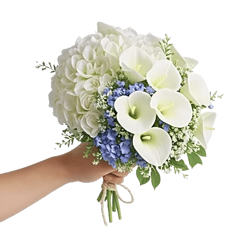 Serene Petal Harmony