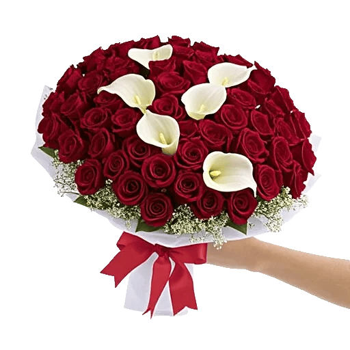 Crimson Rose Elegance