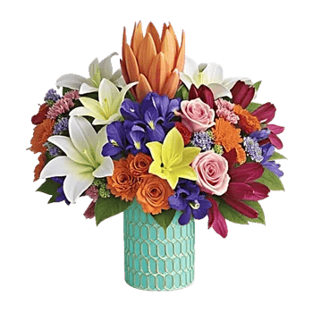 Petal Radiance Bliss