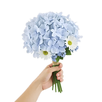 Serene Garden Harmony