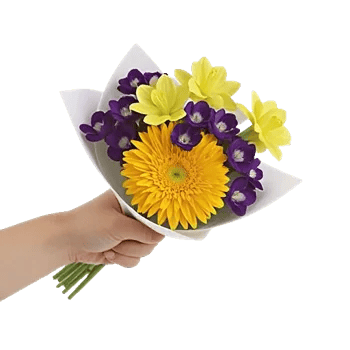 Golden Petal Harmony