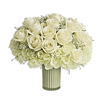 Ivory Blossom Radiance