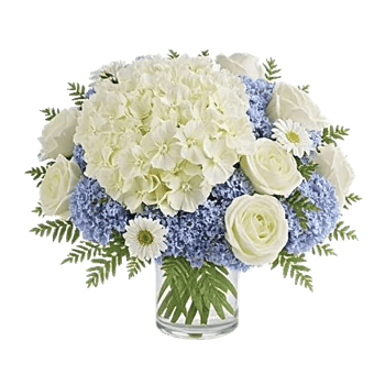 Blooming Serenity Display