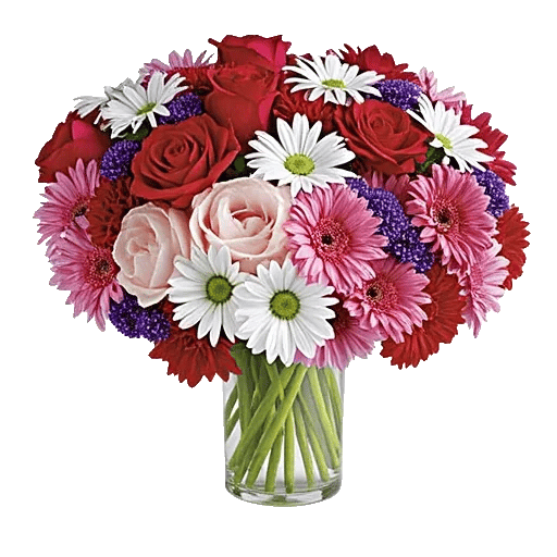 Petal Radiance Bliss