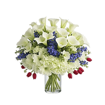 Elegant Calla Lilies