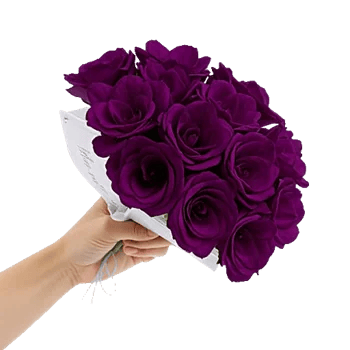 Petal Softness Display