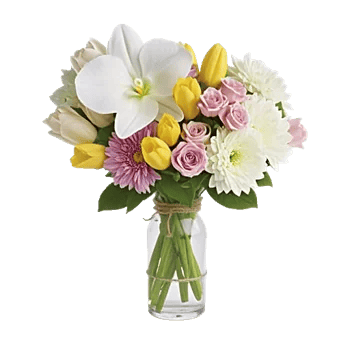 Orchid Bloom Cascade