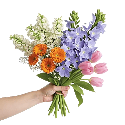 Graceful Lily Display