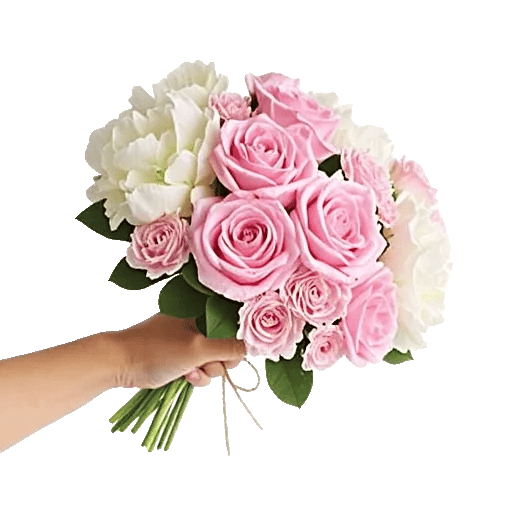 Pastel Pink Roses