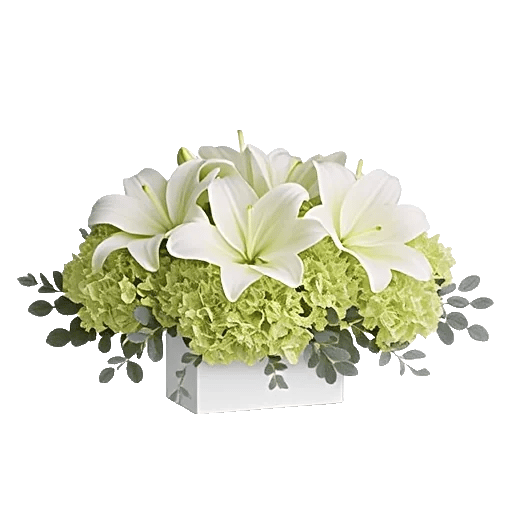 Graceful Lily Display