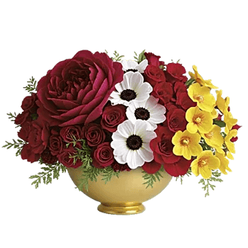 Petal Radiance Bliss